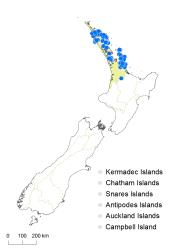 Loxsoma cunninghamii distribution map based on databased records at AK, CHR and WELT.
 Image: K. Boardman © Landcare Research 2014 CC BY 3.0 NZ